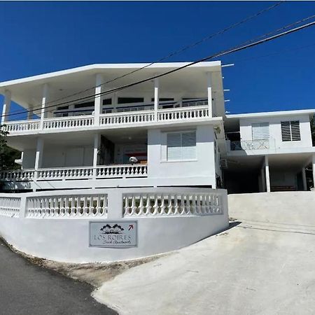 Los Roires Beach Apartments Fajardo Eksteriør bilde